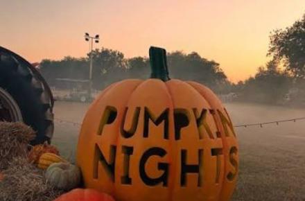 Pumpkin-nights-arlington-1200_1DE88F9A-99EF-560B-0CE9841370316902_1def8c7f-f228-6e0a-8df4b0af6665ce13