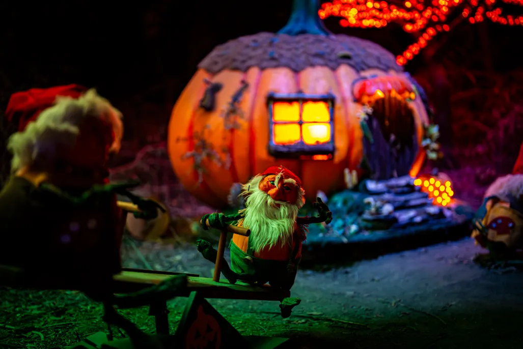 enchanted-forest-gnomes