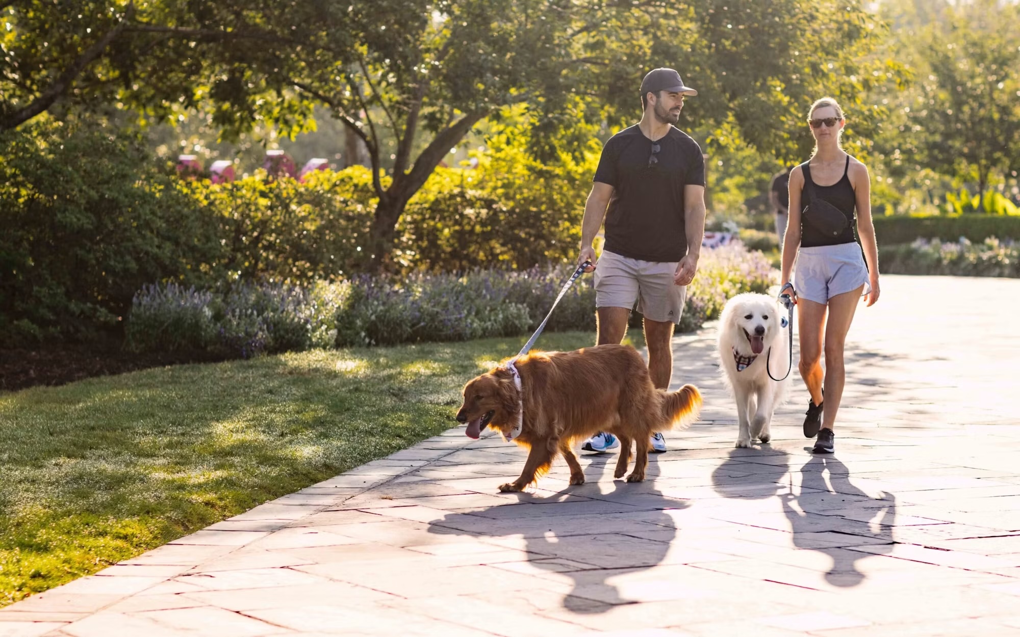 DA_2026_07_03_DogDays-10-3-scaled